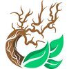 Recovered StellarAqua logo